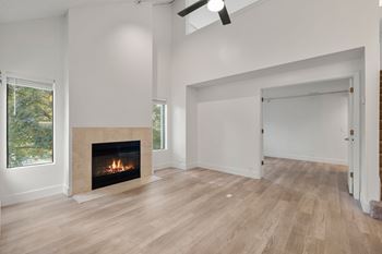 Room with large door, fireplace and fan